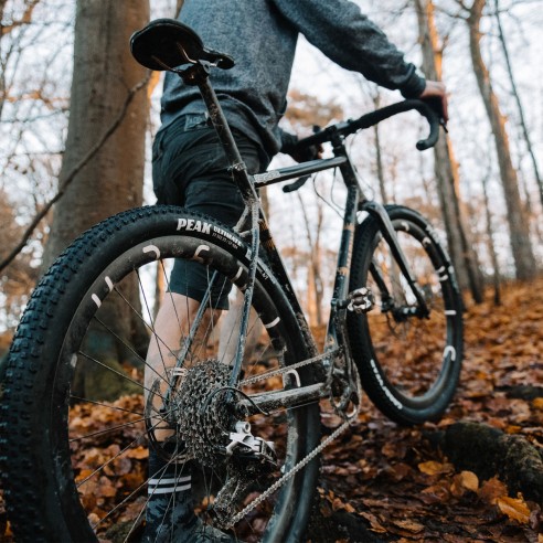 Cubierta Peak Ultimate 29x2.4 TLC Mrrn 120 TPI