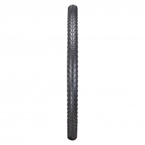 Cubierta Phantom Dry TLR 29x2,30