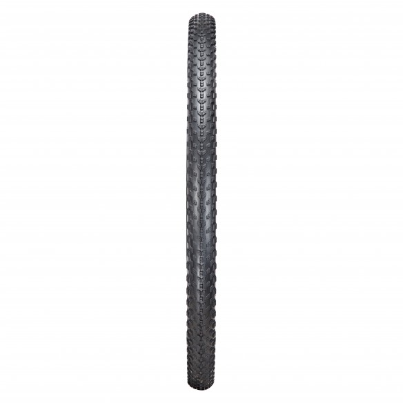 Cubierta Phantom Dry TLR 29x2,30