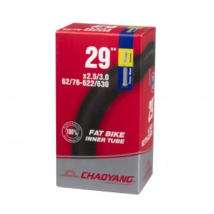 Cámara 29x2,50/3,00 FV 48 mm Desmont.