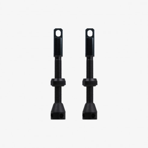 10 válvulas mousse 40 mm tubeless